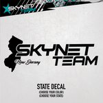 US State Team Decal Solid